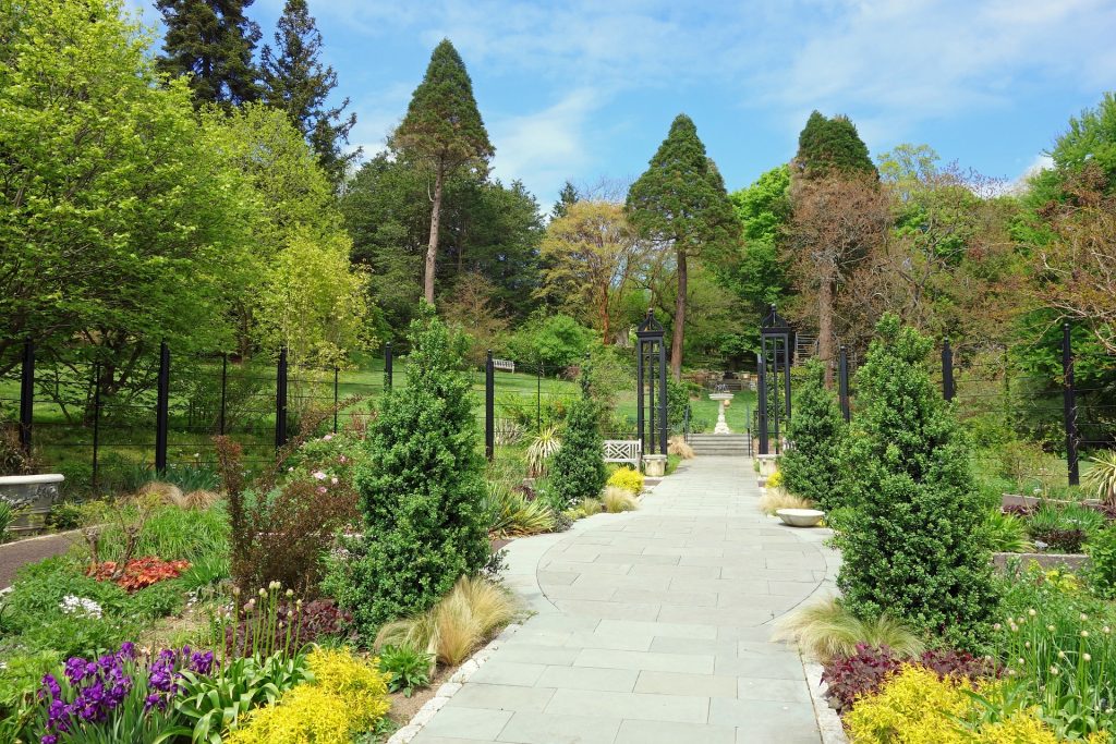 An arboretum.