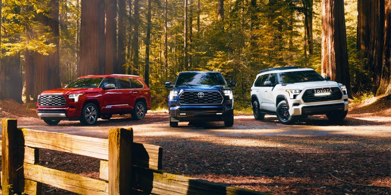 Three 2023 Toyota Sequoia models, red, blue, and white from the left, parked in the woods.