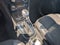 2017 Buick Encore Preferred II